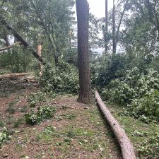 Front-Yard-Cleared-Out-Storm-Damage-in-Denton-MD 10